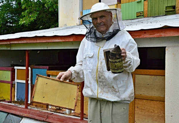O medu a včelařích